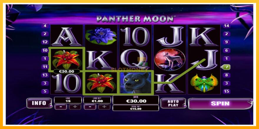 Máquina de jogos Panther Moon - chance de ganhar dinheiro, foto 2