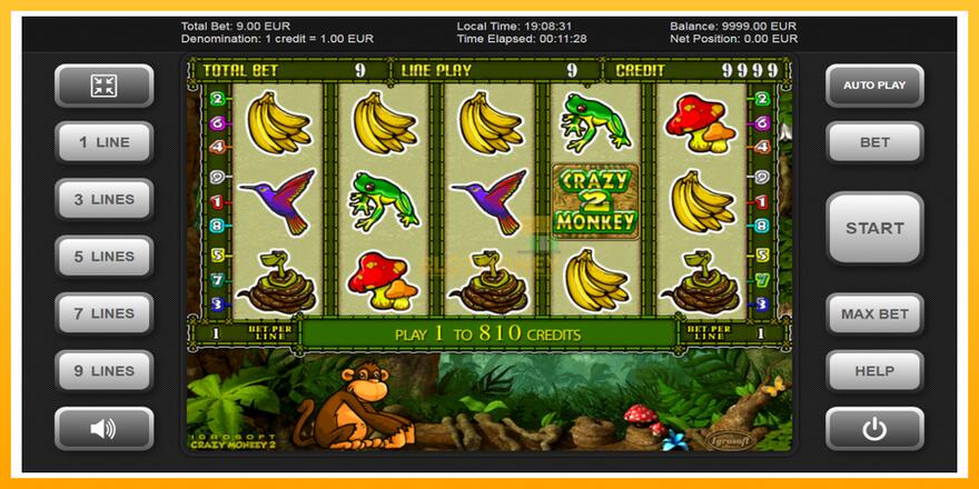 Máquina de jogos Crazy Monkey 2 - chance de ganhar dinheiro, foto 1