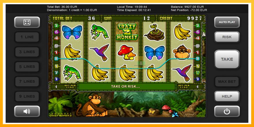 Máquina de jogos Crazy Monkey 2 - chance de ganhar dinheiro, foto 2