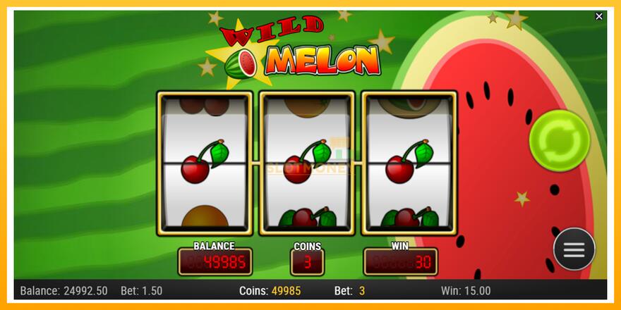 Máquina de jogos Wild Melon - chance de ganhar dinheiro, foto 3