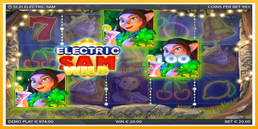 Máquina de jogos Electric Sam - chance de ganhar dinheiro, foto 4