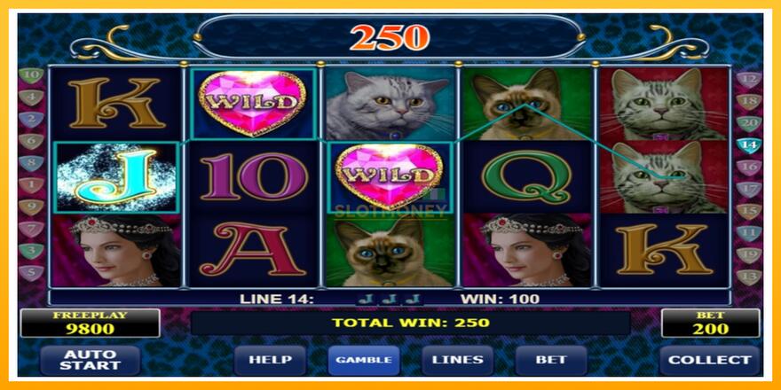 Máquina de jogos Diamond Cats - chance de ganhar dinheiro, foto 2