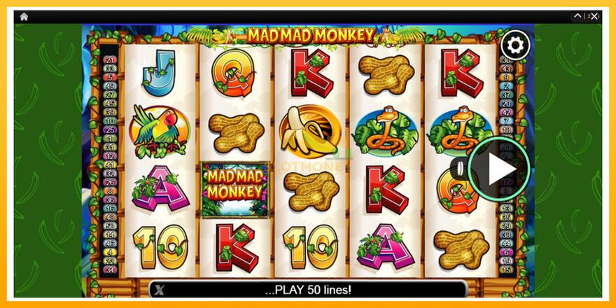 Máquina de jogos Mad Mad Monkey - chance de ganhar dinheiro, foto 1