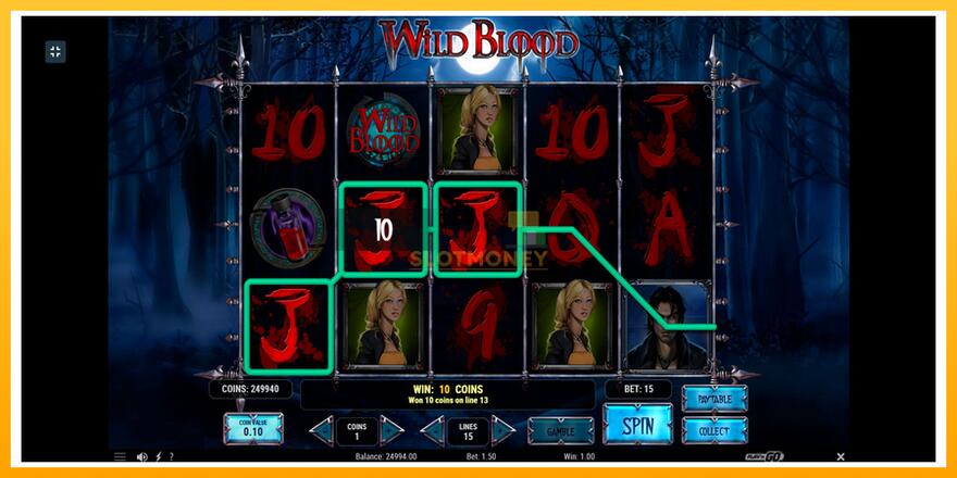 Máquina de jogos Wild Blood - chance de ganhar dinheiro, foto 6