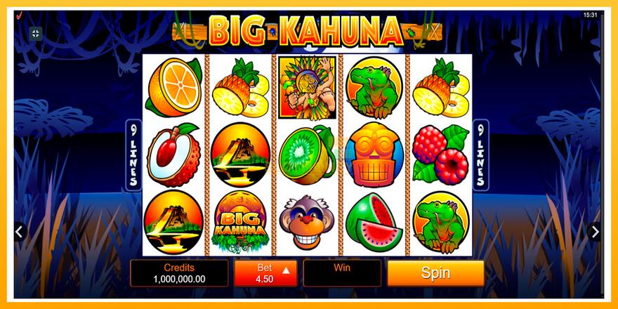 Máquina de jogos Big Kahuna - chance de ganhar dinheiro, foto 1