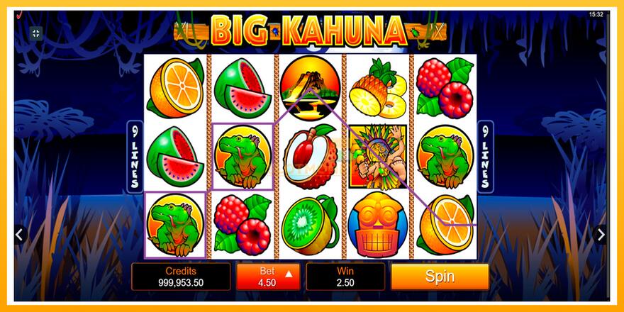 Máquina de jogos Big Kahuna - chance de ganhar dinheiro, foto 2