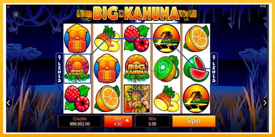 Máquina de jogos Big Kahuna - chance de ganhar dinheiro, foto 3