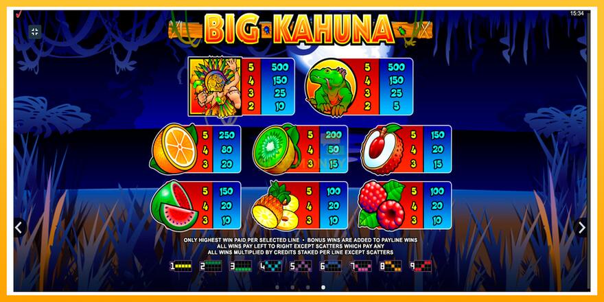 Máquina de jogos Big Kahuna - chance de ganhar dinheiro, foto 7