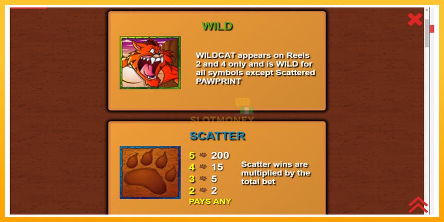 Máquina de jogos Wildcat Canyon - chance de ganhar dinheiro, foto 5