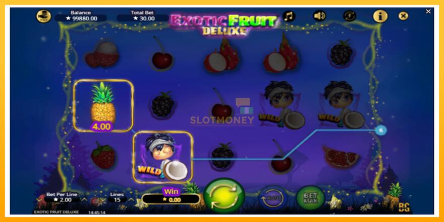 Máquina de jogos Exotic Fruit Deluxe - chance de ganhar dinheiro, foto 3