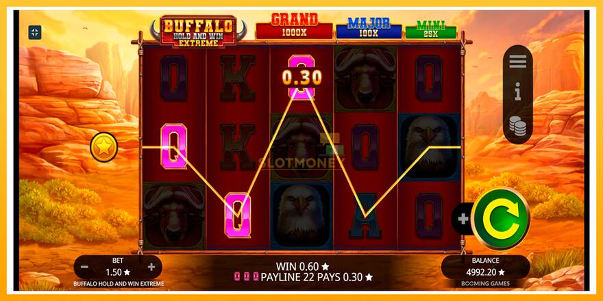 Máquina de jogos Buffalo Hold and Win Extreme - chance de ganhar dinheiro, foto 4