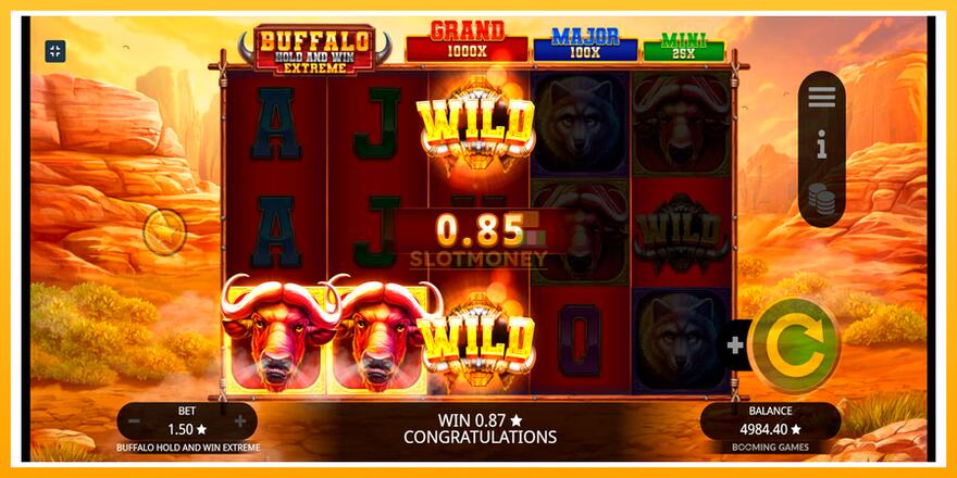 Máquina de jogos Buffalo Hold and Win Extreme - chance de ganhar dinheiro, foto 6