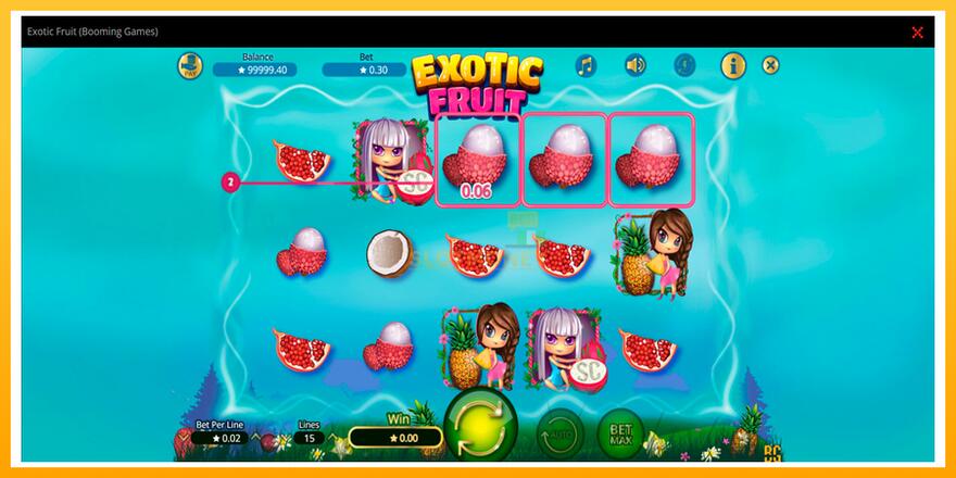 Máquina de jogos Exotic Fruit - chance de ganhar dinheiro, foto 2