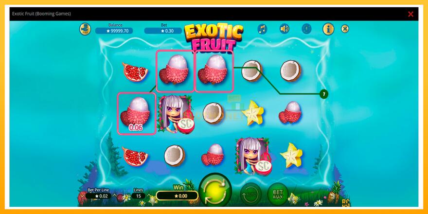 Máquina de jogos Exotic Fruit - chance de ganhar dinheiro, foto 3