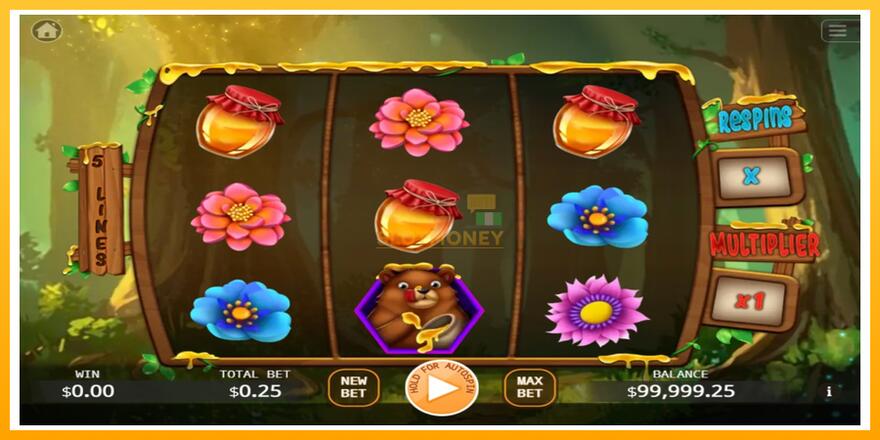 Máquina de jogos Honey Money - chance de ganhar dinheiro, foto 1