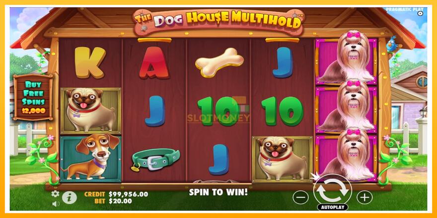 Máquina de jogos The Dog House Multihold - chance de ganhar dinheiro, foto 1