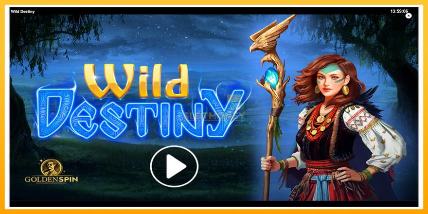 Máquina de jogos Wild Destiny - chance de ganhar dinheiro, foto 1