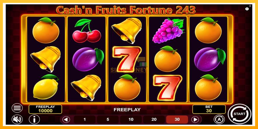 Máquina de jogos Cashn Fruits Fortune 243 - chance de ganhar dinheiro, foto 2