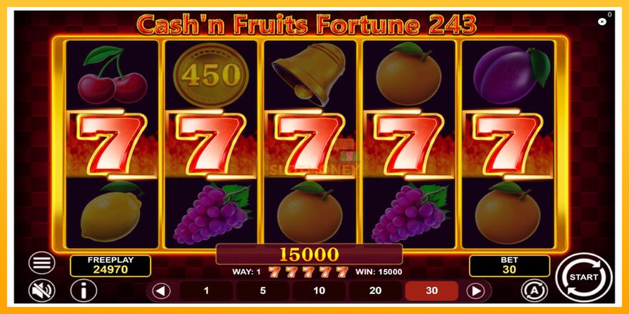 Máquina de jogos Cashn Fruits Fortune 243 - chance de ganhar dinheiro, foto 4