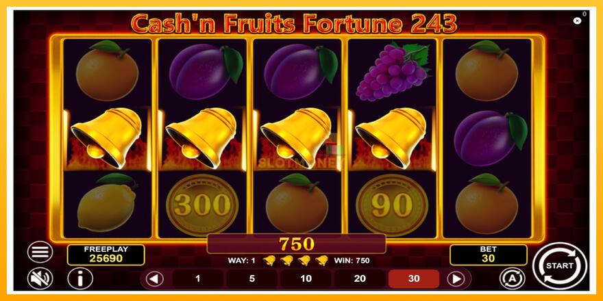 Máquina de jogos Cashn Fruits Fortune 243 - chance de ganhar dinheiro, foto 5