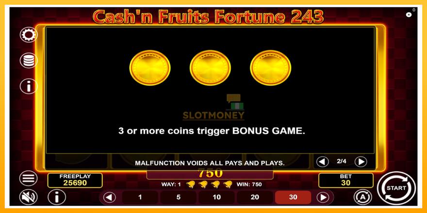 Máquina de jogos Cashn Fruits Fortune 243 - chance de ganhar dinheiro, foto 7