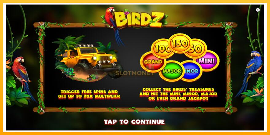 Máquina de jogos BIRDZ - chance de ganhar dinheiro, foto 1