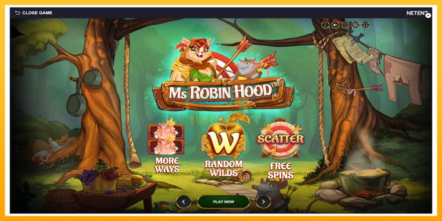 Máquina de jogos Ms Robin Hood - chance de ganhar dinheiro, foto 1