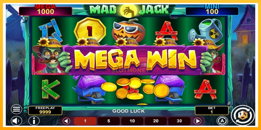 Máquina de jogos Mad Jack Hold & Win - chance de ganhar dinheiro, foto 2