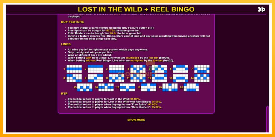 Máquina de jogos Lost in the Wild with Reel Bingo - chance de ganhar dinheiro, foto 7