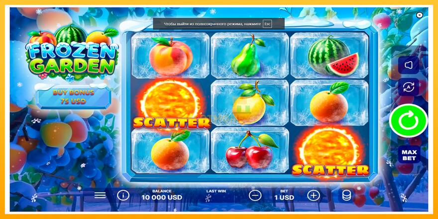 Máquina de jogos Frozen Garden - chance de ganhar dinheiro, foto 1