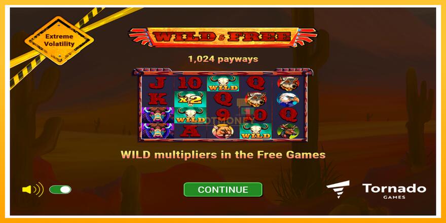 Máquina de jogos Wild & Free - chance de ganhar dinheiro, foto 1