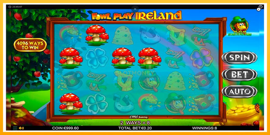 Máquina de jogos Fowl Play Ireland - chance de ganhar dinheiro, foto 2