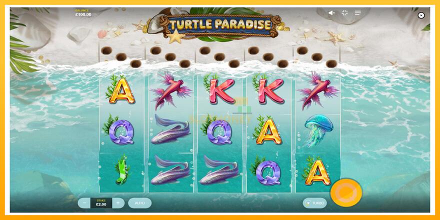 Máquina de jogos Turtle Paradise - chance de ganhar dinheiro, foto 2