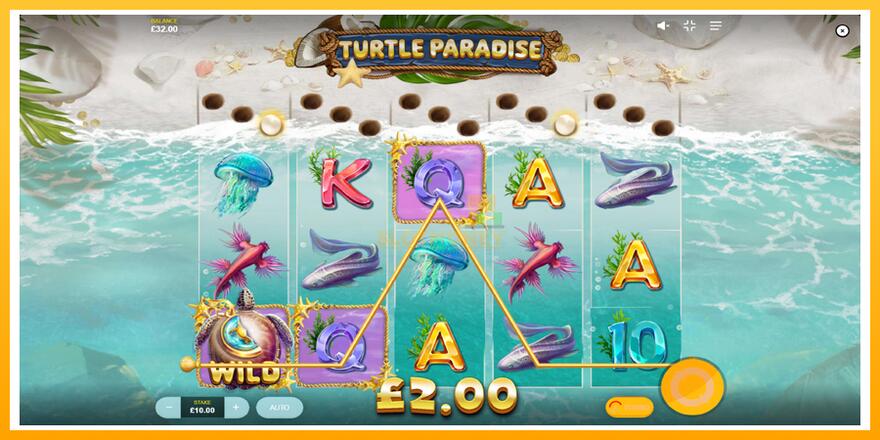 Máquina de jogos Turtle Paradise - chance de ganhar dinheiro, foto 3