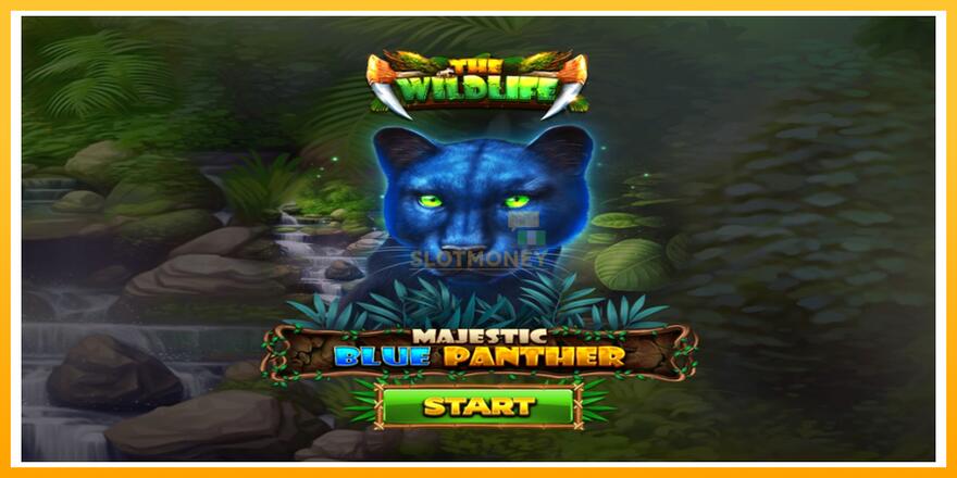 Máquina de jogos Majestic Blue Panther - chance de ganhar dinheiro, foto 1