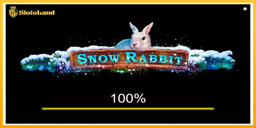 Máquina de jogos Snow Rabbit - chance de ganhar dinheiro, foto 1