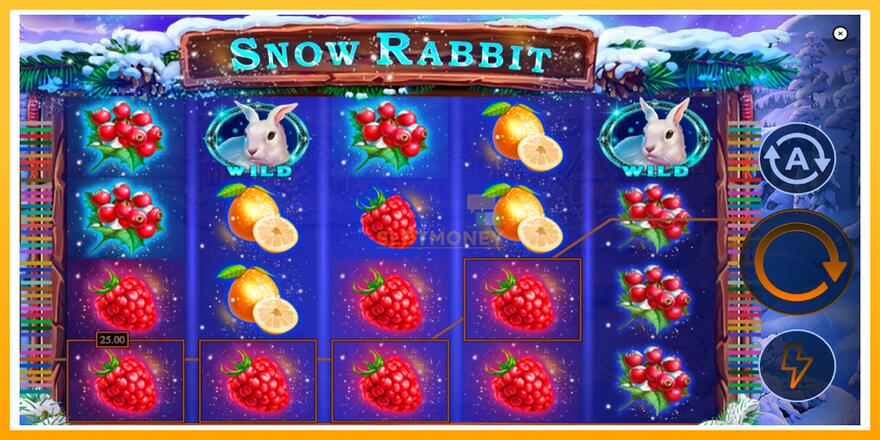 Máquina de jogos Snow Rabbit - chance de ganhar dinheiro, foto 4