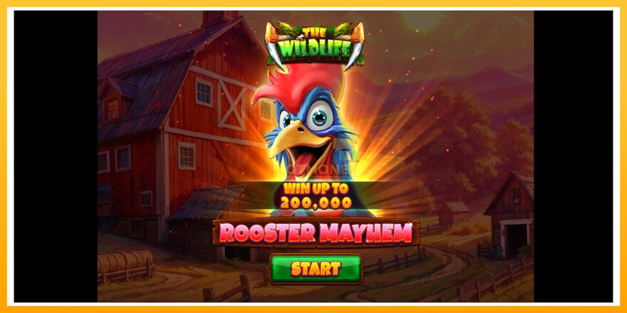 Máquina de jogos Rooster Mayhem - chance de ganhar dinheiro, foto 1