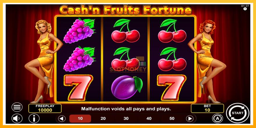 Máquina de jogos Cashn Fruits Fortune - chance de ganhar dinheiro, foto 2