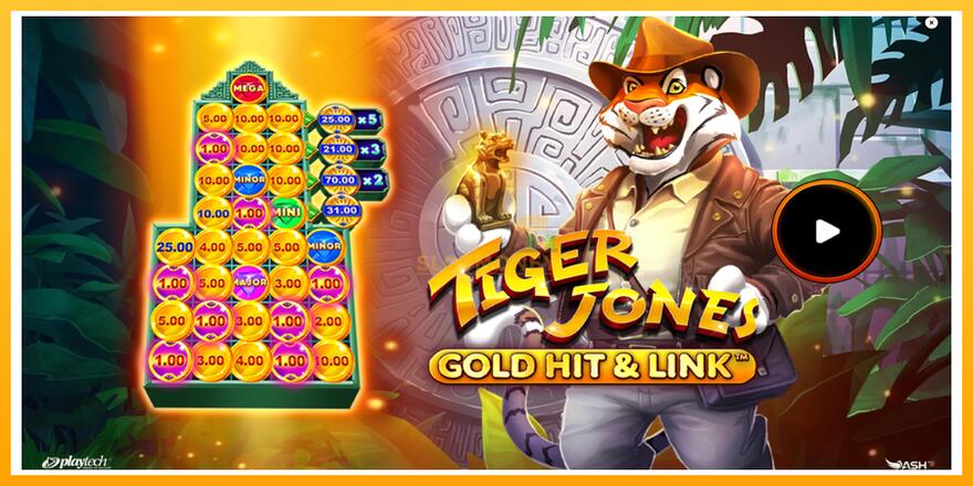 Máquina de jogos Gold Hit & Link: Tiger Jones - chance de ganhar dinheiro, foto 1