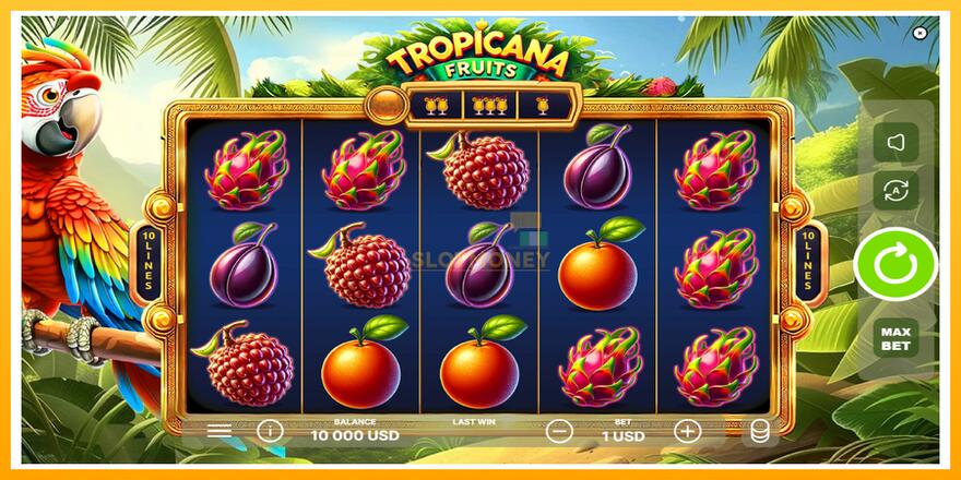 Máquina de jogos Tropicana Fruits - chance de ganhar dinheiro, foto 2