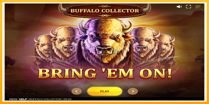 Máquina de jogos Buffalo Collector - chance de ganhar dinheiro, foto 1