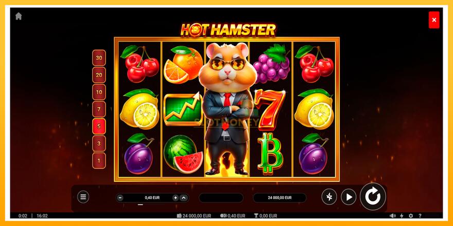 Máquina de jogos Hot Hamster - chance de ganhar dinheiro, foto 1