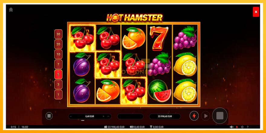 Máquina de jogos Hot Hamster - chance de ganhar dinheiro, foto 2