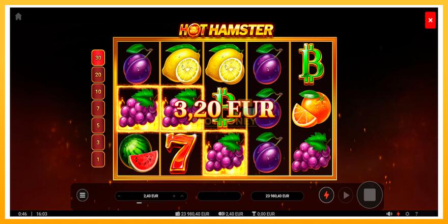 Máquina de jogos Hot Hamster - chance de ganhar dinheiro, foto 3