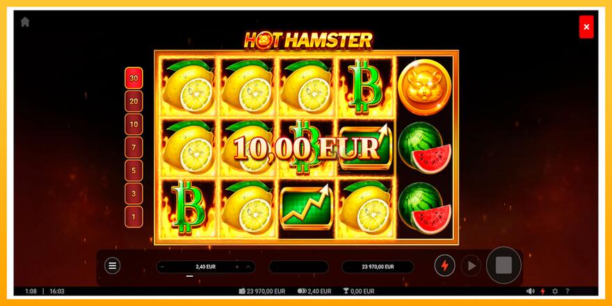 Máquina de jogos Hot Hamster - chance de ganhar dinheiro, foto 4