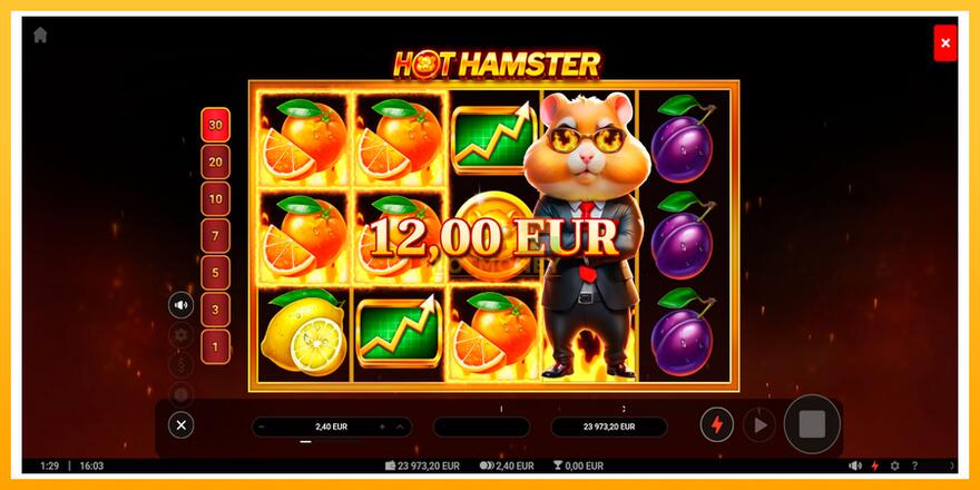 Máquina de jogos Hot Hamster - chance de ganhar dinheiro, foto 5