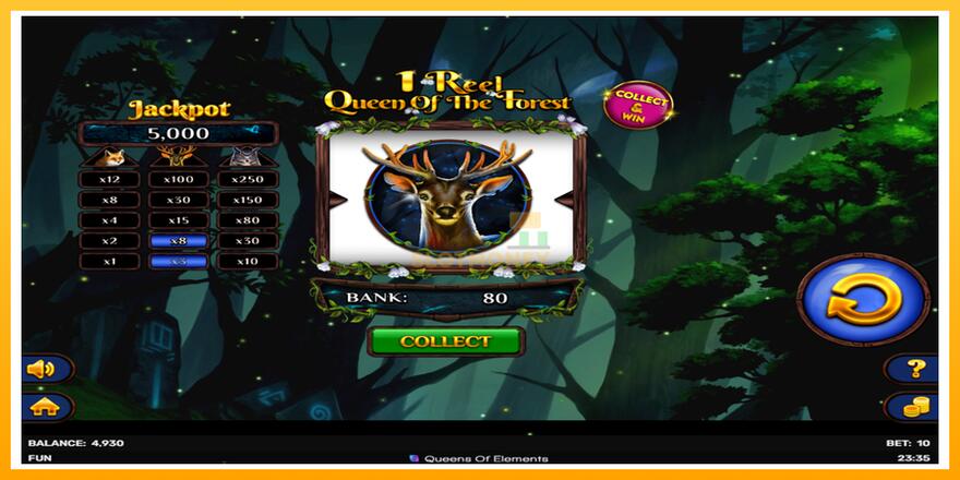 Máquina de jogos 1 Reel Queen of the Forest - chance de ganhar dinheiro, foto 3