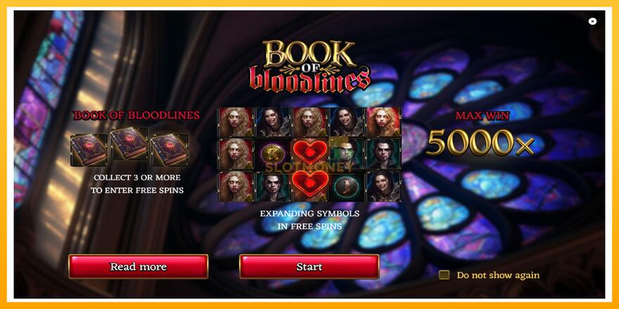 Máquina de jogos Book of Bloodlines - chance de ganhar dinheiro, foto 1