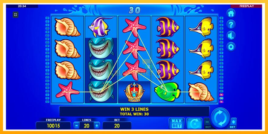 Máquina de jogos Wild Shark - chance de ganhar dinheiro, foto 2